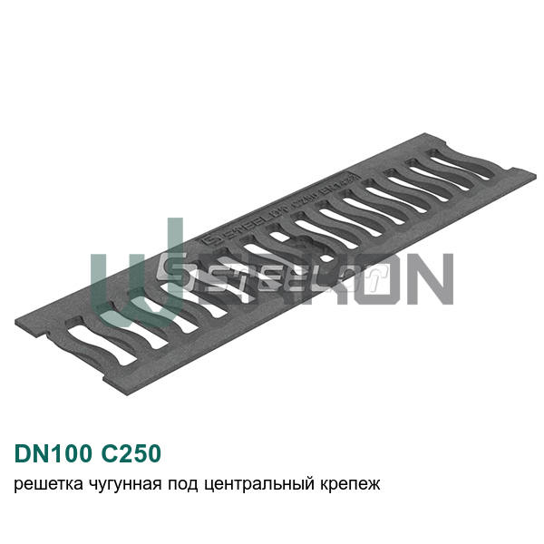DN100 С250 Решетка чугунная под центральный крепеж 